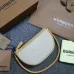 Burberry Olympia Pouch Shoulder Bag #A51529
