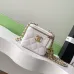 Chanel Quilted Caviar Leather Mini Vanity Bag With Gold Chain Strap And CC Logo size:11×8×7cm #A54384
