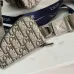 DIOR CHRISTIAN DIOR Oblique Saddle Triple Pouch  size:23×17×4cm #A54108