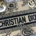 Dior Handbags Lady D-Lite CHRISTIAN DIOR PARIS size:17×15×7cm #A53705