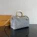 Louis Vuitton Handbag Speedy Soft 30  #A50991