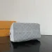Louis Vuitton Handbag Speedy Soft 30  #A50991