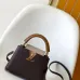 Louis Vuitton Handbags Capucine #A51645