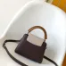 Louis Vuitton Handbags Capucine #A51645