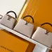 Louis Vuitton Handbags Capucine #A51645