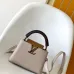 Louis Vuitton Handbags Capucine #A51645