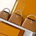 Louis Vuitton Handbags Capucine #A51645
