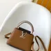 Louis Vuitton Handbags Capucine #A51645
