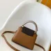 Louis Vuitton Handbags Capucine #A51645