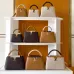 Louis Vuitton Handbags Capucine #A51645