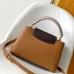 Louis Vuitton Handbags Capucines Taurillon #A51212