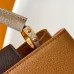 Louis Vuitton Handbags Capucines Taurillon #A51212