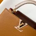 Louis Vuitton Handbags Capucines Taurillon #A51212