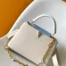 Louis Vuitton Handbags Capucines Taurillon #A51213