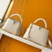 Louis Vuitton Handbags Capucines Taurillon #A51213
