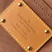 Louis Vuitton Handbags Chip version 163C Danube  size:16×21×6cm #A53528