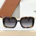CELINE AAA+ Sunglasses #A51273