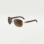 Cartier AAA+ Sunglasses #A31540