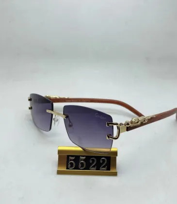 Cartier Sunglasses #999937393