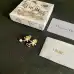 Dior Earrings #A52945