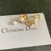 Dior Earrings #A52945