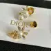 Dior Earrings #A52945