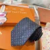 Louis Vuitton Necktie #A52472