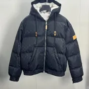 Louis Vuitton Coats/Down Jackets #A45245