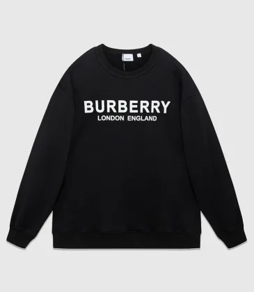 Burberry Hoodies for Men/Women Black 1:1 Quality EUR Sizes #999928790