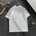 Dior T-shirts for men Color logo #A46995