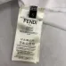 Fendi T-shirts for men #A51089