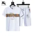Burberry Tracksuits for Burberry Short Tracksuits for men #A51941