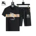 Burberry Tracksuits for Burberry Short Tracksuits for men #A51941