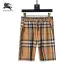 Burberry Tracksuits for Burberry Short Tracksuits for men #A51943