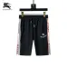 Burberry Tracksuits for Burberry Short Tracksuits for men #A51944