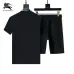 Burberry Tracksuits for Burberry Short Tracksuits for men #A51944