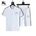 Burberry Tracksuits for Burberry Short Tracksuits for men #A51944