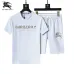 Burberry Tracksuits for Burberry Short Tracksuits for men #A51945
