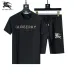 Burberry Tracksuits for Burberry Short Tracksuits for men #A51945