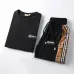 Burberry Tracksuits for Burberry Short Tracksuits for men #A51946