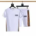 Burberry Tracksuits for Burberry Short Tracksuits for men #A51946