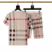 Burberry Tracksuits for Burberry Short Tracksuits for men #A51948