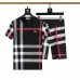 Burberry Tracksuits for Burberry Short Tracksuits for men #A51948