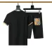 Burberry Tracksuits for Burberry Short Tracksuits for men #A51949