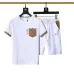 Burberry Tracksuits for Burberry Short Tracksuits for men #A51949