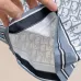 Dior tracksuits for Dior Short Tracksuits for men #A52194