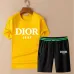 Dior tracksuits for Dior Short Tracksuits for men #A53096