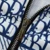 Dior tracksuits for Dior Tracksuits for men #A32052