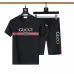 Gucci Tracksuits for Gucci short tracksuits for men #A51951