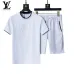Louis Vuitton tracksuits for Louis Vuitton short tracksuits for men #A51959